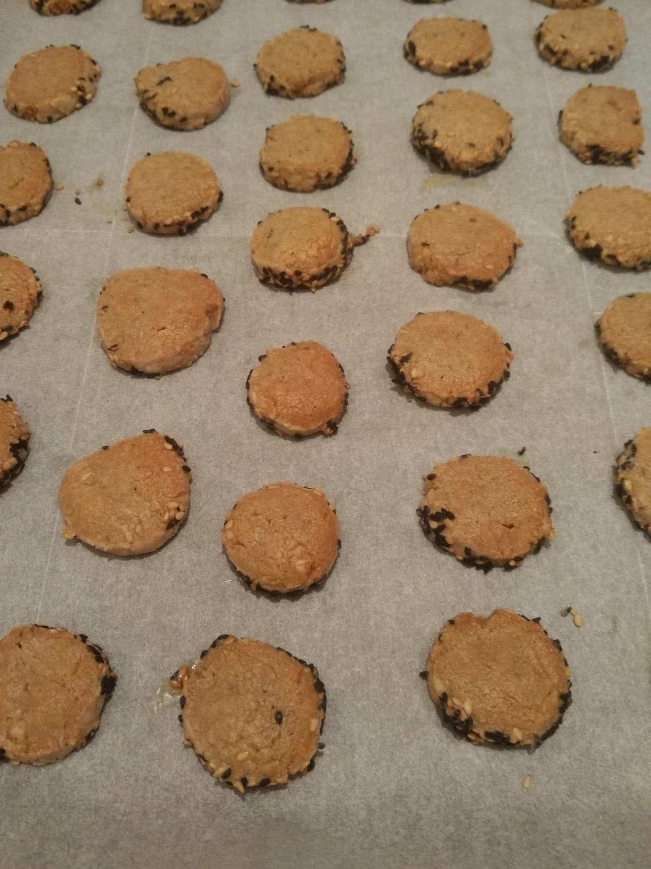 roquefort cheese cookies